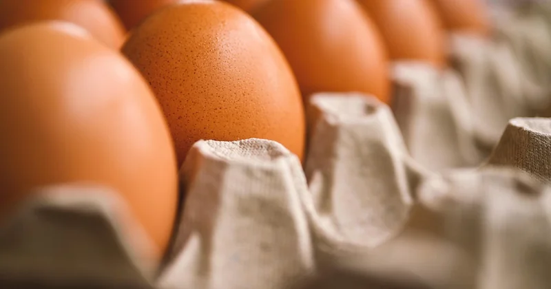 Le stockage thermique : l'innovation la plus prometteuse que vous ne connaissez pas